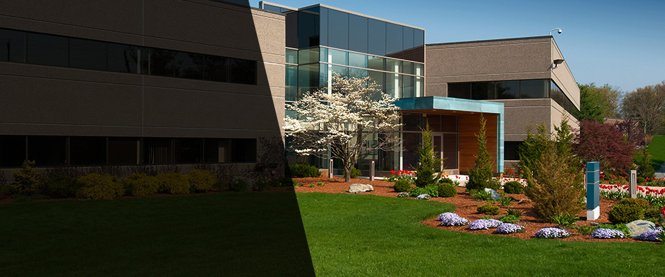 Littleton Landscapers